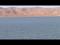 Celebration of International Day of Wetlands 2011: observation of migratory birds in the dams of Biskra (Algeria)