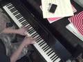 Liszt Transcendental Etude No. 2