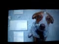 2.80 Font/Gameboot/PSP Radio boot via xLoader 2.80 Font/Gameboot/PSP Radio boot via xLoader