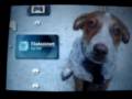 2.80 Font/Gameboot/PSP Radio boot via xLoader