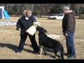 videos de 11212008_7.wmv