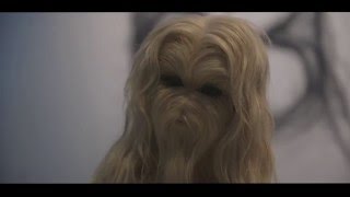 WHAT WE MAKE FROM HAIR AND WHAT HAIR MAKES FROM US