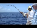 Deep Sea FAD Fishing for BIG YELLOWFIN TUNA ...