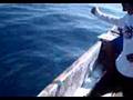 PESCANDO EN MANZANIILO