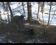 Predator (Sweded)
