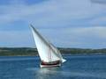 Vela Latina a La Maddalena