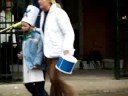 donostiako eguna