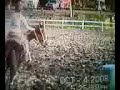 Gymkhana Barrel Racing