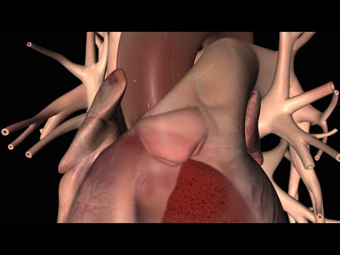 how to ecg test