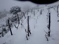 Jan09Neve