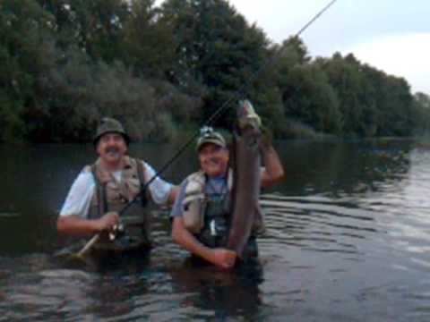 Imagen de previsualización de YouTube