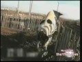 Cow loves Farmer
