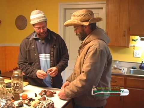 mushroom cultivation - Sharondale Farm, a permaculture project at the base of the central Virginias Southwest Mountains, integrates mushrooms, perennial plants, and animals into th...