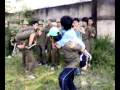 videos de Linh giai tri