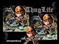Tupac: New York State Of Mind