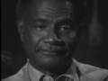 moqaddam citti davis