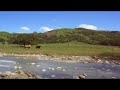 East Coast Scene Tokomaru Bay