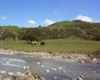East Coast Scene Tokomaru Bay