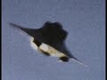 VRiL | Haunebu UFO TRUTH!