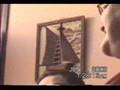 People Life Videos - Terene