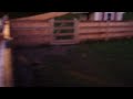 Not Our Dogs Part 3