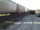 CNR Freight and ONR Passenger at Vivian Crossing, Newmarket