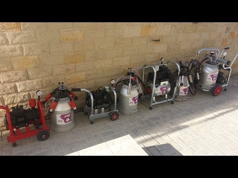 Как пользоваться доильным аппаратом в домашних условиях Как пользоваться доильным аппаратом в домашних условиях