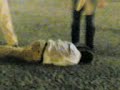 bebedeira tiago