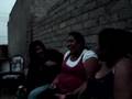 Mexico Times