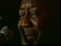 Muddy Waters - I\ Muddy Waters - I\