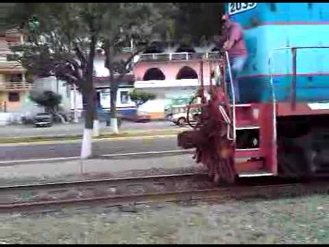 mexican train dominoes