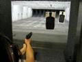 Lale at the Gun Room