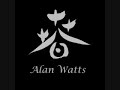 Why do we feel like we don't fit in? Is it a bad thing? Why do we have a harder time the less we conform? Alan Watts talks about societies insecurities. He says they want us to 