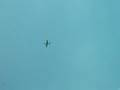 Greg Fly Over