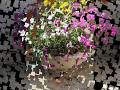 jardinage