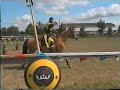 Jousting