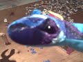 The adventures of Super salamender #1 The adventures of Super salamender #1