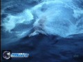 Baleia Azul