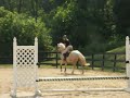 Biscotti- canter work