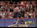 BOXEADORES MEXICANOS
