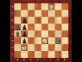 Kasparian chess study for Kids