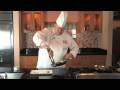 Culinary Secrets with Chef Tomm: Potstickers