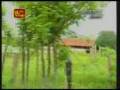 videos de Wanni Operation 21/11/2008 - Troops  capture part of Highway
