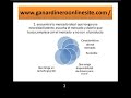 Guia Como (GANAR) (DINERO) (ONLINE)