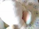 Pry em: Sexo Selvagem