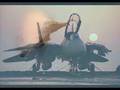F-14 Tomcat Tribute Video