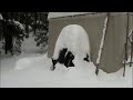 Muskoka Storm Snowshoe