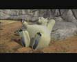 British Polar Bear