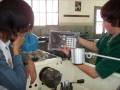 videos de los pibes de electromecanica