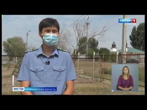 Управлением Россельхознадзора по Ростовской, Волгоградской и Астраханской областям и Республике Калмыкия выявлен очаг горчака ползучего на территории Астраханской области